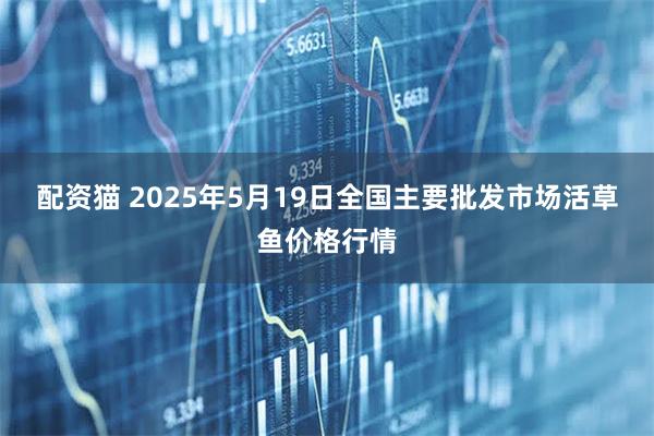 配资猫 2025年5月19日全国主要批发市场活草鱼价格行情