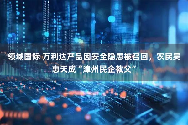 领域国际 万利达产品因安全隐患被召回，农民吴惠天成“漳州民企教父”
